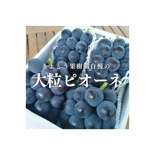 ■お礼品詳細　・配送種別：冷蔵便　・提供元：きよとうファーム株式会社（津山市）■お申し込み・配送・その他　・発送時期：2026-08-22〜2026-10-24(お届け時間帯指定可)　・申込受付期間：〜2026-09-30　・配達外のエリア...