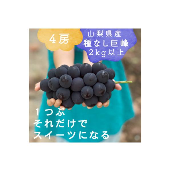 巨峰ぶどう(種なし) 2kg 以上 産地直送 山梨県山梨市牧丘産