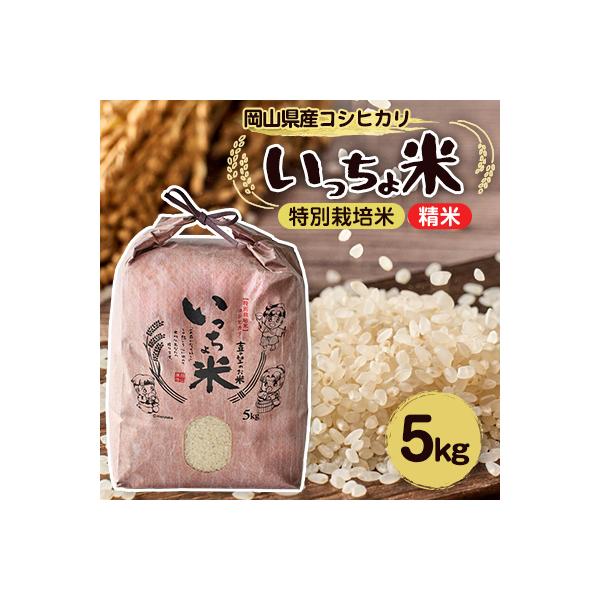 コシヒカリ　いっちょ米(5kg×1袋)