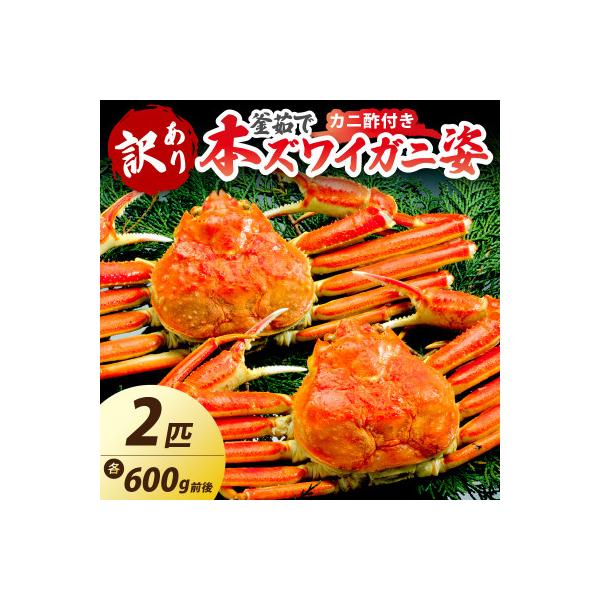 【大好評!カニ酢付き】訳あり!釜茹で!本ずわいがに姿 2匹(600g前後×2匹)
