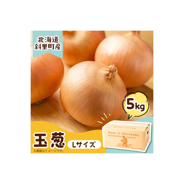 産地直送	知床の恵み凝縮!斜里の玉葱Lサイズ5kg　産地直送