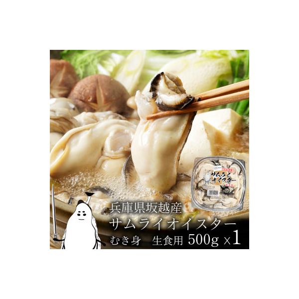 坂越産　生牡蠣むき身500g×1パック　サムライオイスター　生食用