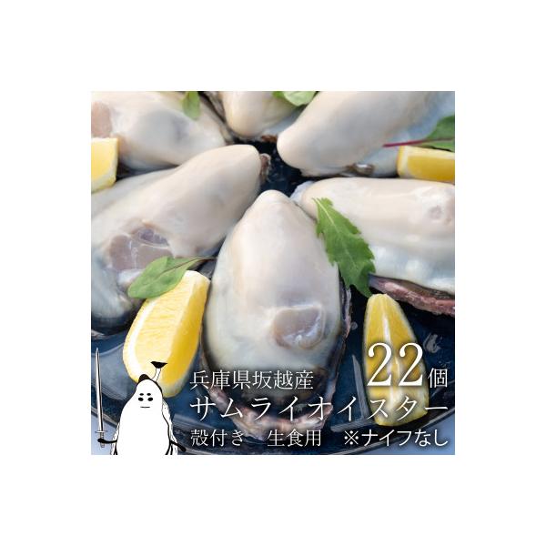 坂越産生牡蠣殻付き22個　サムライオイスター　生食用　※牡蠣ナイフセットはついておりません
