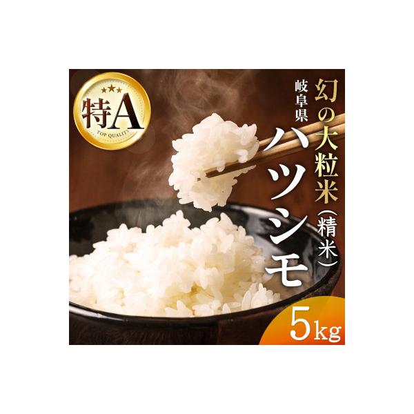 令和7年産　岐阜県産ハツシモ(精米)5kg  国産 米