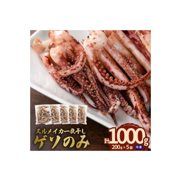 訳あり島根県産スルメイカ一夜干し「ゲソのみ」　計1.0kg(小分け200g×5)家族で楽しめる