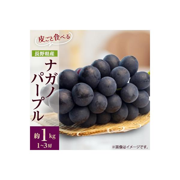 【2026年先行受付】フルーツ王国信州産地直送　皮ごと食べられるナガノパープル　約1kg(1～3房)