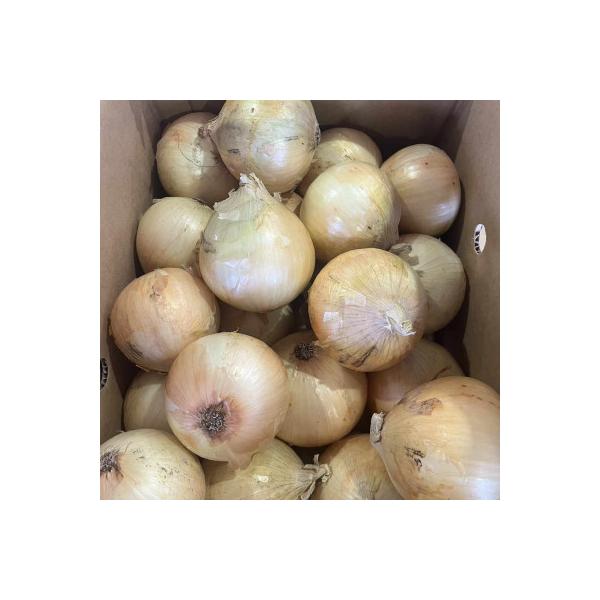 ■お礼品詳細　・配送種別：通常　・提供元：佐嘉ＺＥＹＴＡＫＵＹＡ（菖蒲）（佐賀県）■お申し込み・配送・その他　・発送時期：2026-05-15〜2026-07-17(お届け時間帯指定可)　・申込受付期間：〜2026-06-29　・配達外のエ...