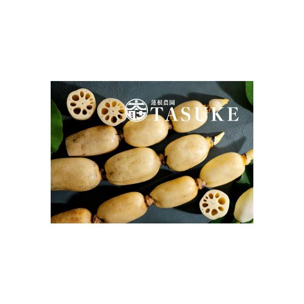 ■お礼品詳細　・配送種別：冷蔵便　・提供元：太助レンコン園■お申し込み・配送・その他　・発送時期：2025-08-18〜2026-03-31(お届け時間帯指定可)　・申込受付期間：2025/4/20〜2026/3/1　・配達外のエリア：離島...