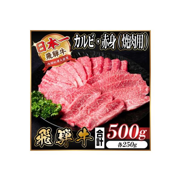 飛騨牛 カルビ・赤身(焼肉・BBQセット)500g 小分け 黒毛和牛 A4～A5等級