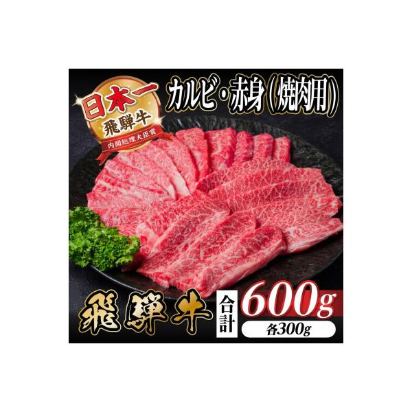 飛騨牛 厳選カルビ・赤身(焼肉・BBQ用)600g　小分け　黒毛和牛　A4～A5等級
