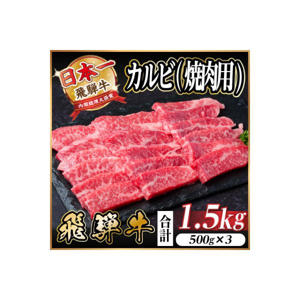飛騨牛 厳選カルビ(焼肉・BBQ用) 1.5kg(500g×3)　黒毛和牛　小分け　A4～A5等級