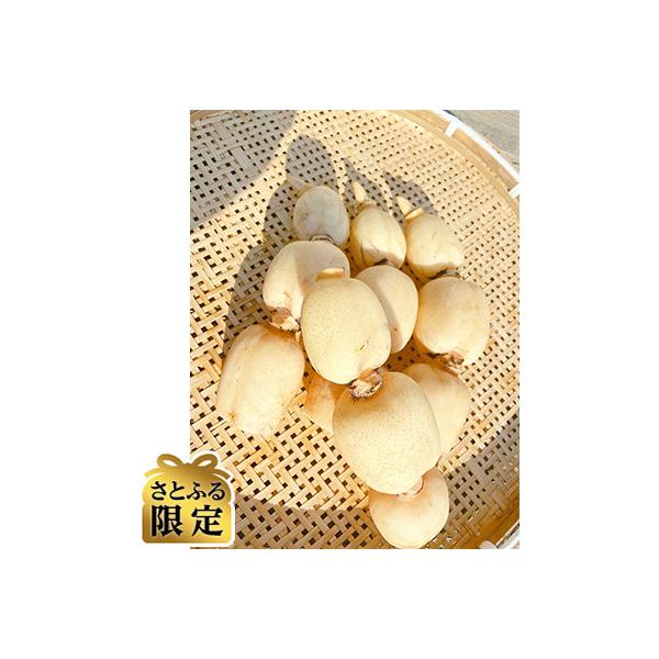 ■お礼品詳細　・配送種別：通常　・提供元：Ｎｉｎｅ’ｓＦａｒｍ■お申し込み・配送・その他　・発送時期：2025-09-10〜2026-03-30(お届け時間帯指定可)　・申込受付期間：〜2026-03-11　・配達外のエリア：　・寄付証明書...