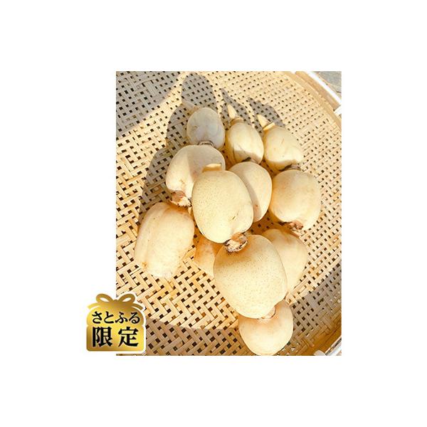 ■お礼品詳細　・配送種別：通常　・提供元：Ｎｉｎｅ’ｓＦａｒｍ■お申し込み・配送・その他　・発送時期：2025-09-10〜2026-03-30(お届け時間帯指定可)　・申込受付期間：〜2026-03-11　・配達外のエリア：　・寄付証明書...