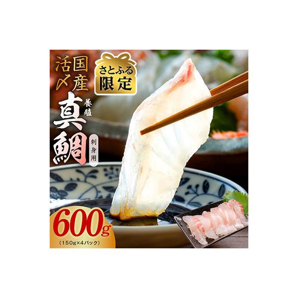 【さとふる限定】国産活〆 真鯛 お刺身用 600g 養殖 便利な小分け 010B1537