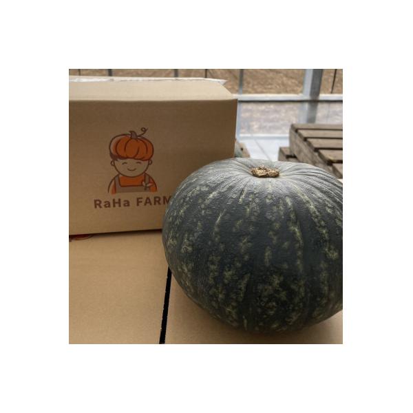 ■お礼品詳細　・配送種別：通常　・提供元：ラハファーム■お申し込み・配送・その他　・発送時期：2026-10-01〜2026-12-05(お届け時間帯指定可)　・申込受付期間：2025-12-01〜2026-11-16　・配達外のエリア：　...