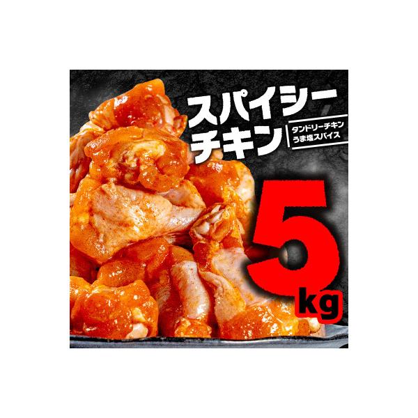 スパイシーチキン2種　計5kg (タンドリーチキン・うま塩スパイス手羽焼)