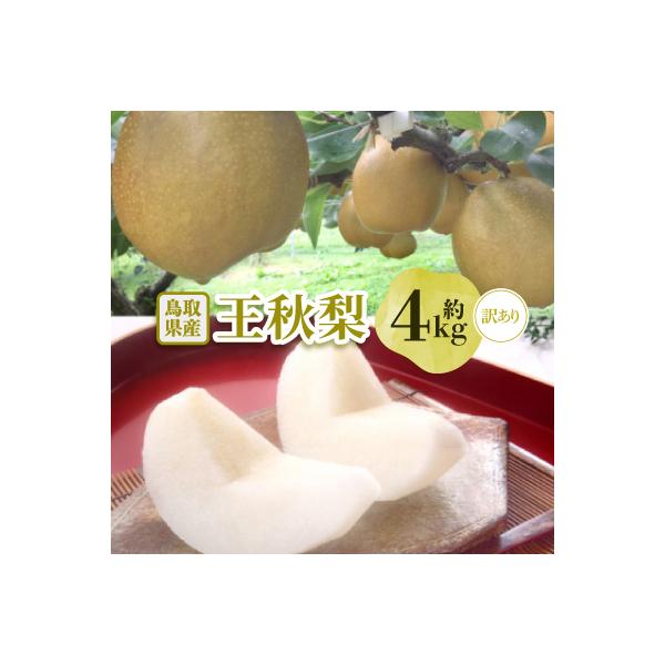 【訳あり】王秋梨　4kg