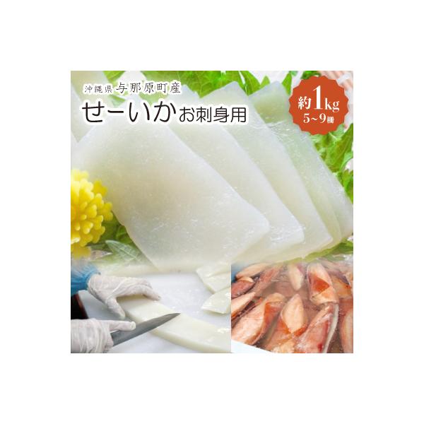 せーいか お刺身用 約1kg(5～9柵)
