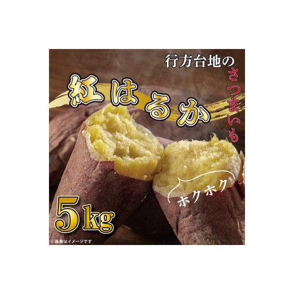 先行予約　行方市 紅はるか 訳あり 無選別 行方台地のさつまいも 5kg サツマイモ CU-55-1