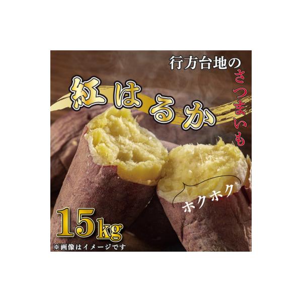 先行予約　茨城県産 紅はるか 訳あり 無選別 さつまいも 15kg サツマイモ CU-167-1