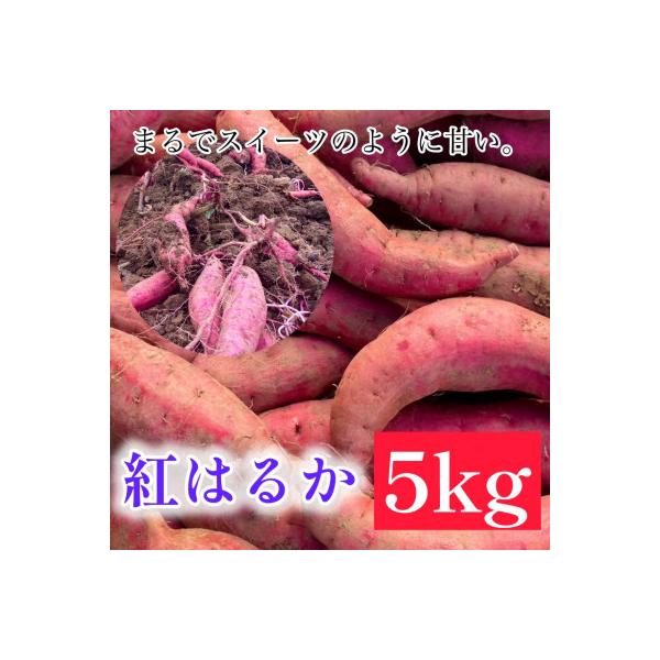 しょうた農園の紅はるか5kg