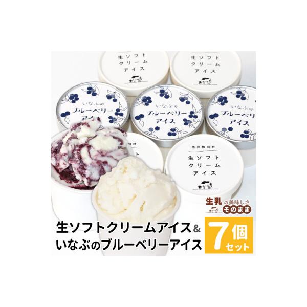 ミルク感たっぷりの生ソフトクリーム&いなぶのブルーベリー 7個