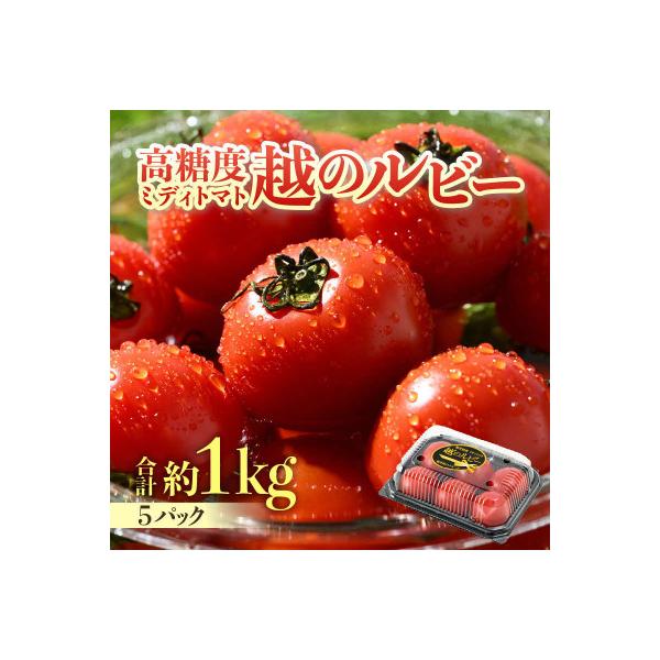 【先行予約】高糖度ミディトマト越のルビー 約1kg 5パック(4パック+品質補償1パック)