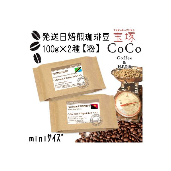 発送日焙煎珈琲 コーヒー100g×2種 【粉】キリマンジャロ・プレミアムカイナントゥ