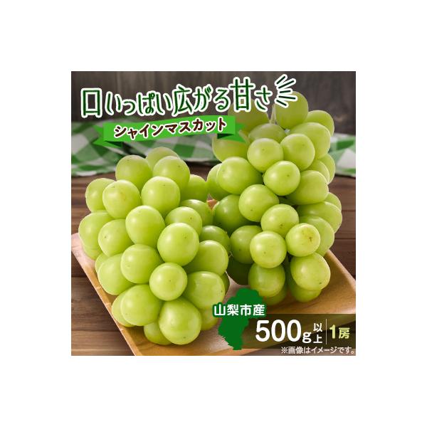 【2026年発送】やみつきシャインマスカット 500g以上(1房)
