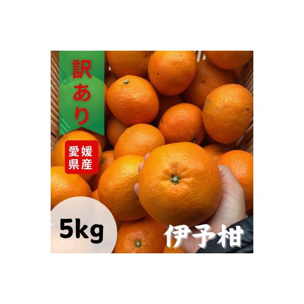 訳あり不揃いいよかん　5kg