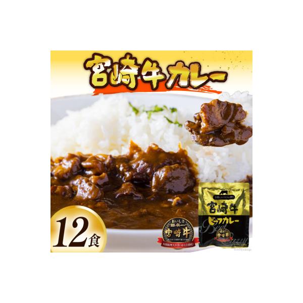 宮崎牛カレー(160g×12食)