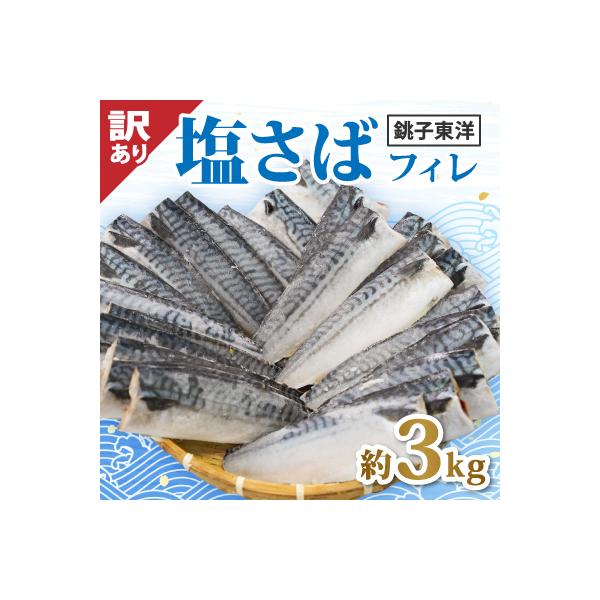 【訳あり】塩鯖(冷凍)3kg　銚子東洋のフィレ　規格外