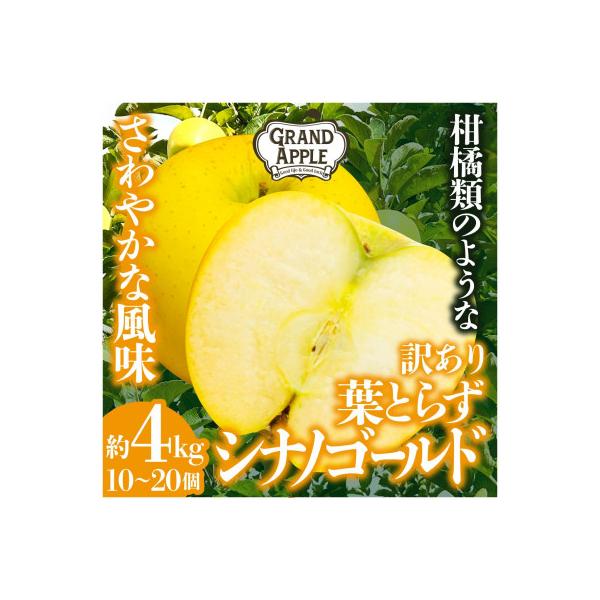 シナノゴールド　訳あり　約4kg(10～20個)