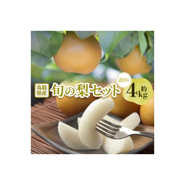 ■お礼品詳細　・配送種別：通常　・提供元：高間商店　本社（智頭町）■お申し込み・配送・その他　・発送時期：2026-08-25〜2026-12-20(お届け時間帯指定可)　・申込受付期間：〜2026-11-30　・配達外のエリア：離島、北海...