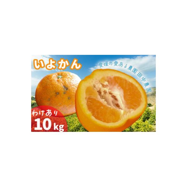 【1月中旬から順次発送】 【訳あり】 伊予柑 いよかん 約10kg