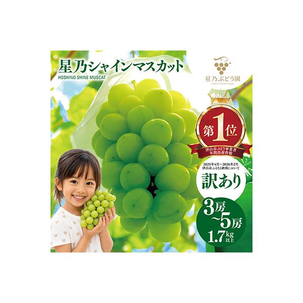 先行受付【訳あり】星乃シャインマスカット 1.7kg 3房～5房