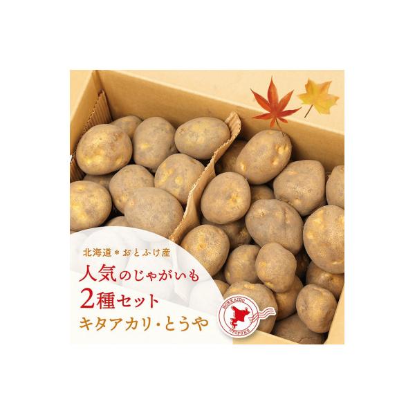北海道おとふけ産 人気のじゃがいも　　　　とうや・キタアカリ 2種セット 合計9kg　　【B73】