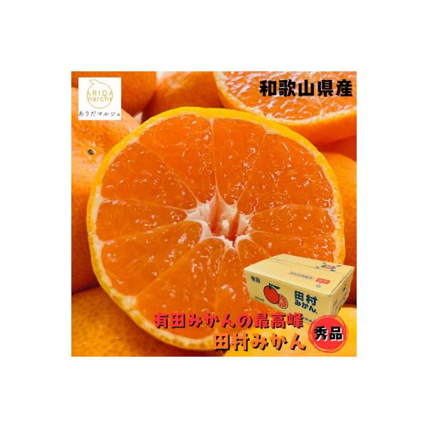 ≪先行受付 2026年11月中旬～発送≫有田みかんの最高峰 田村みかん 秀品 Mサイズ 約5kg