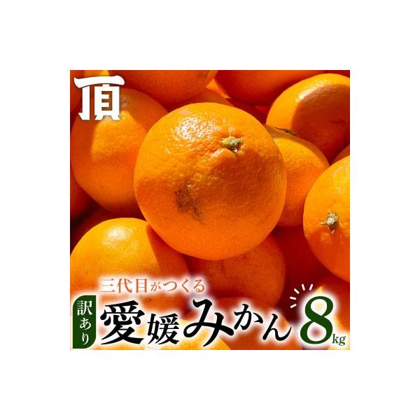 【訳あり(家庭用)】三代目がつくる愛媛みかん 8kg【C31-40】