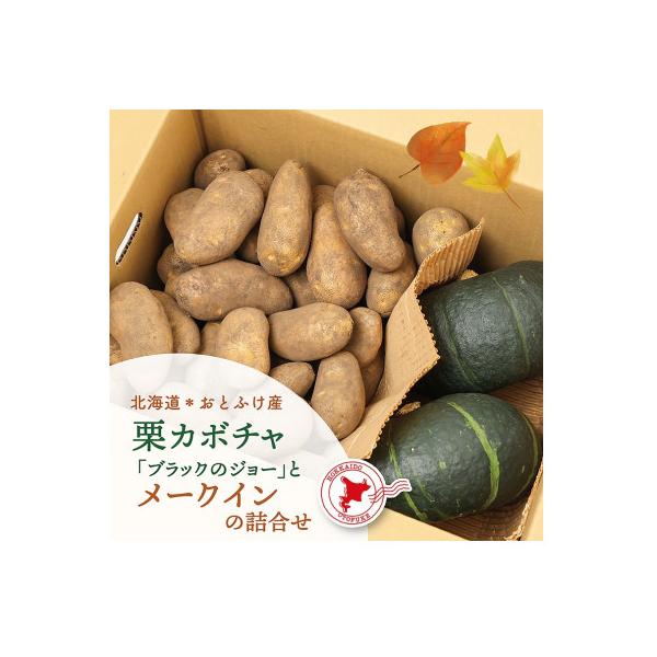 北海道おとふけ産 栗カボチャ「ブラックのジョー」・じゃがいも「メークイン」の詰め合わせ【B74】