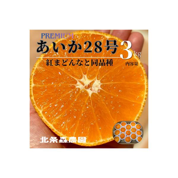 【先行予約2026年11月下旬順次発送】　　　　あいか28号　紅まどんなと同品種ご褒美に!贈り物に!