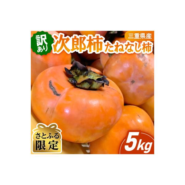 さとふる限定　数量限定《 訳あり 》5kg 次郎柿たねなし柿  家庭用