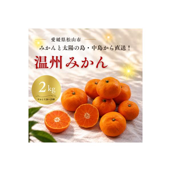 【11月から順次発送予定】 温州みかん 2kg
