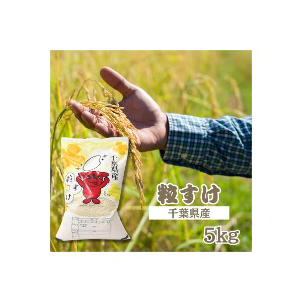 千葉県産　粒すけ　精米　5kg×1袋