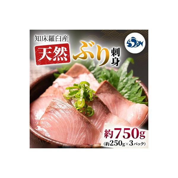 知床羅臼産 天然ぶり刺身 約750g(約250g×3パック)
