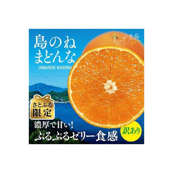 【さとふる限定】(訳あり)先行受付 島のね農園ブランド まどんな 3kg