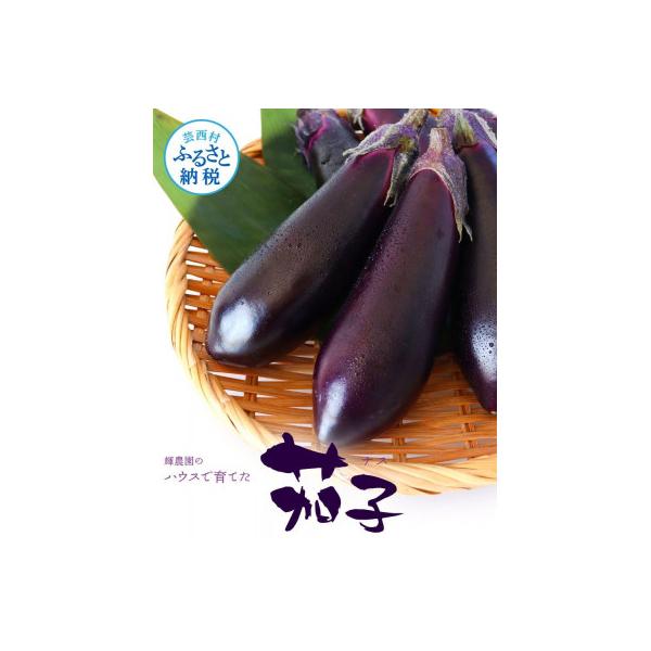 ■お礼品詳細　・配送種別：通常　・提供元：（株）輝農園■お申し込み・配送・その他　・発送時期：2025-09-20〜2026-06-10(お届け時間帯指定可)　・申込受付期間：2025-09-15〜2026-05-31　・配達外のエリア：　...