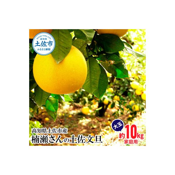 高知県土佐市産 楠瀬さんの土佐文旦 家庭用 大玉 約10kg(4L～2Lサイズ　14～20玉)