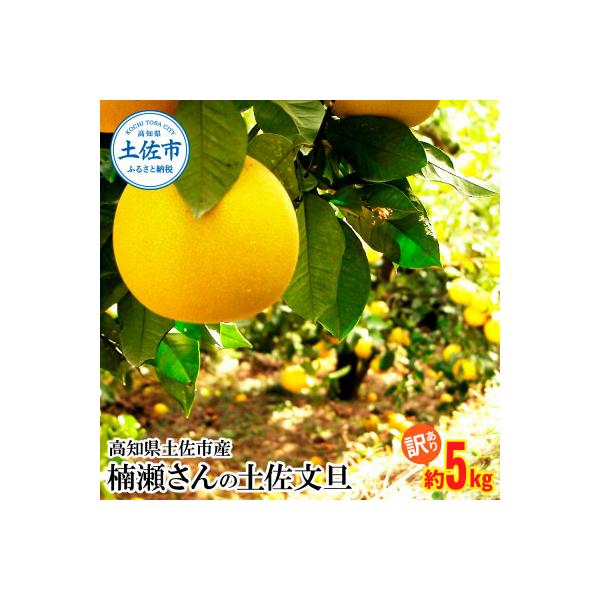 【訳あり】高知県土佐市産 楠瀬さんの土佐文旦 約5kg(4L～Lサイズ　7～12玉)