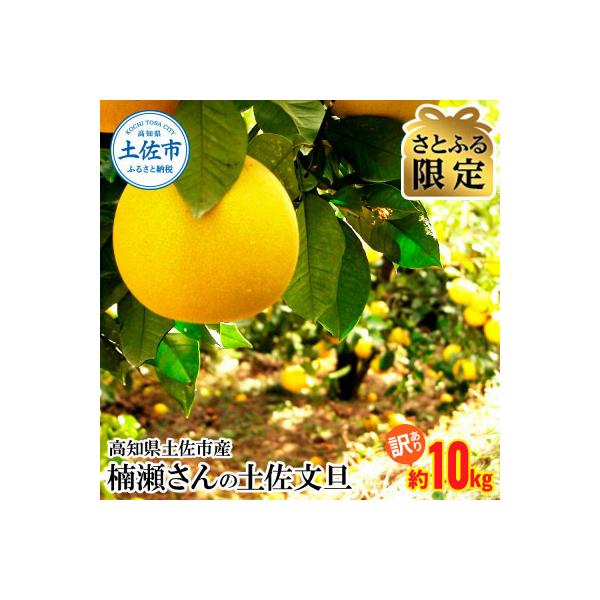 【さとふる限定】【訳あり】高知県土佐市産 楠瀬さんの土佐文旦  約10kg (4L～Lサイズ)